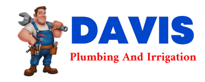 Trusted plumber in LINNEUS